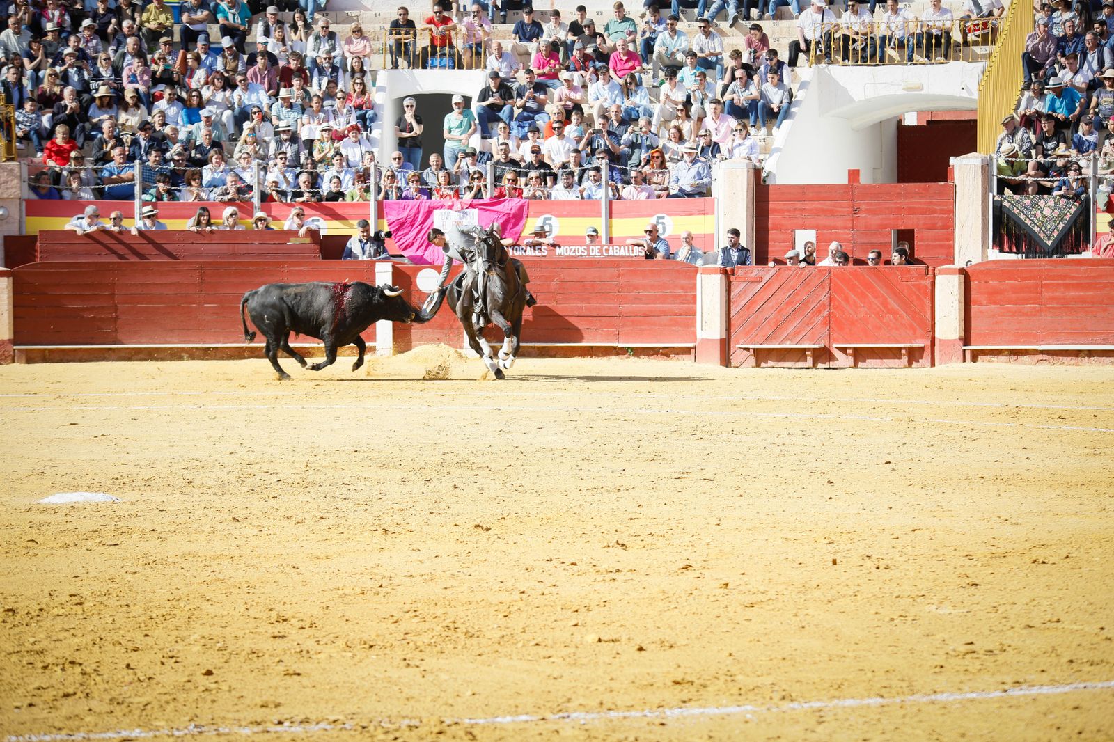 Imágenes del festival mixto lucha contra el cáncer
