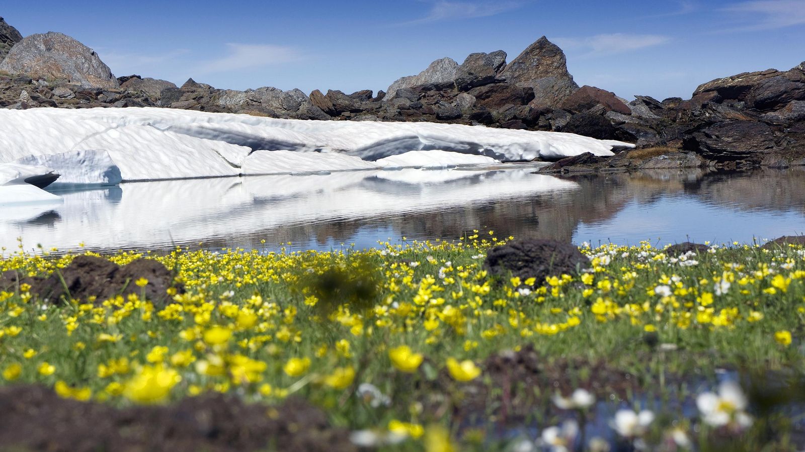 La Sierra Nevada es uno de los grandes atractivos de Granada. La Sierra Nevada es uno de los grandes atractivos de Granada.