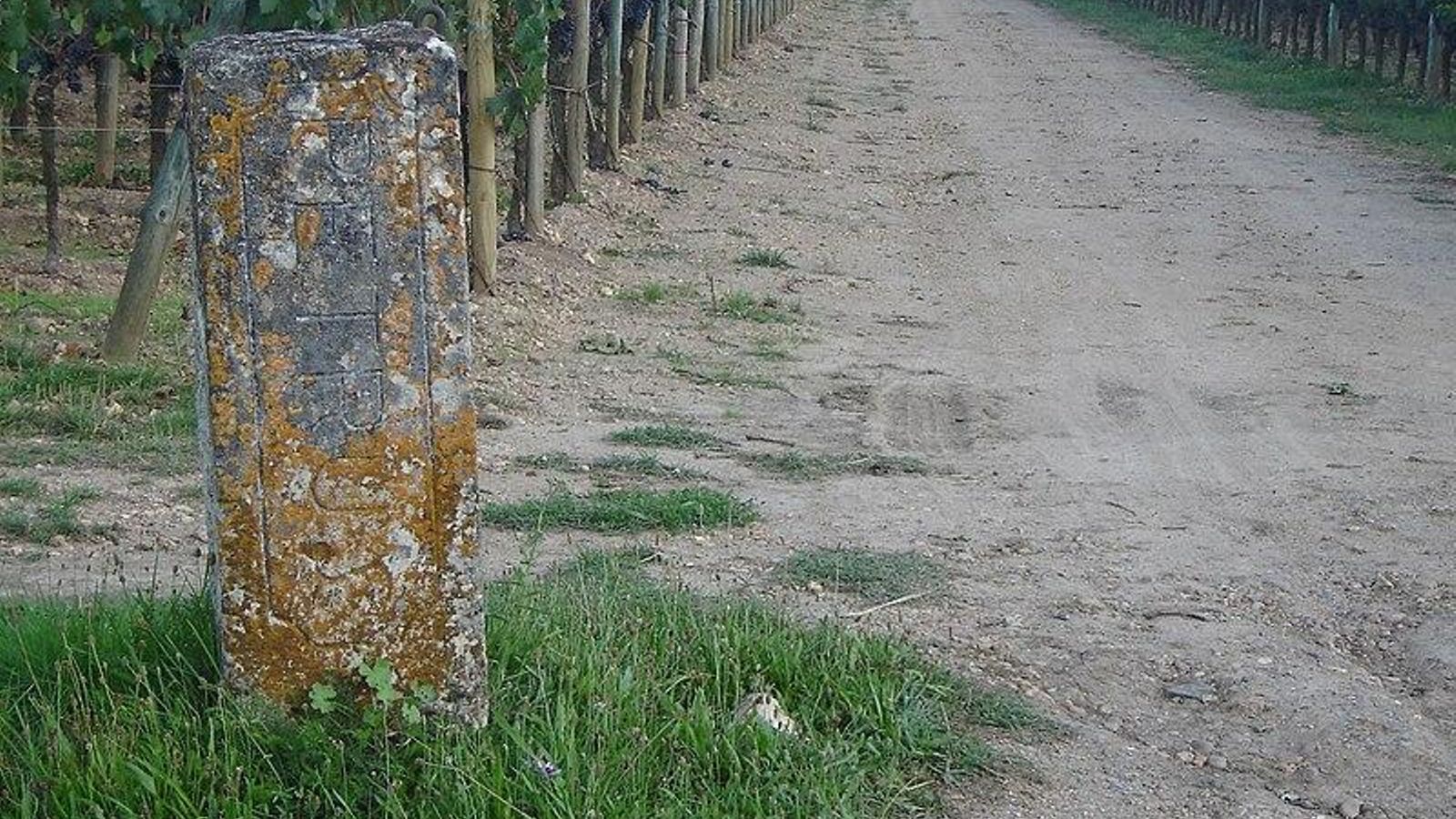 Pomerol es una de las principales regiones dentro del viñedo de Burdeos