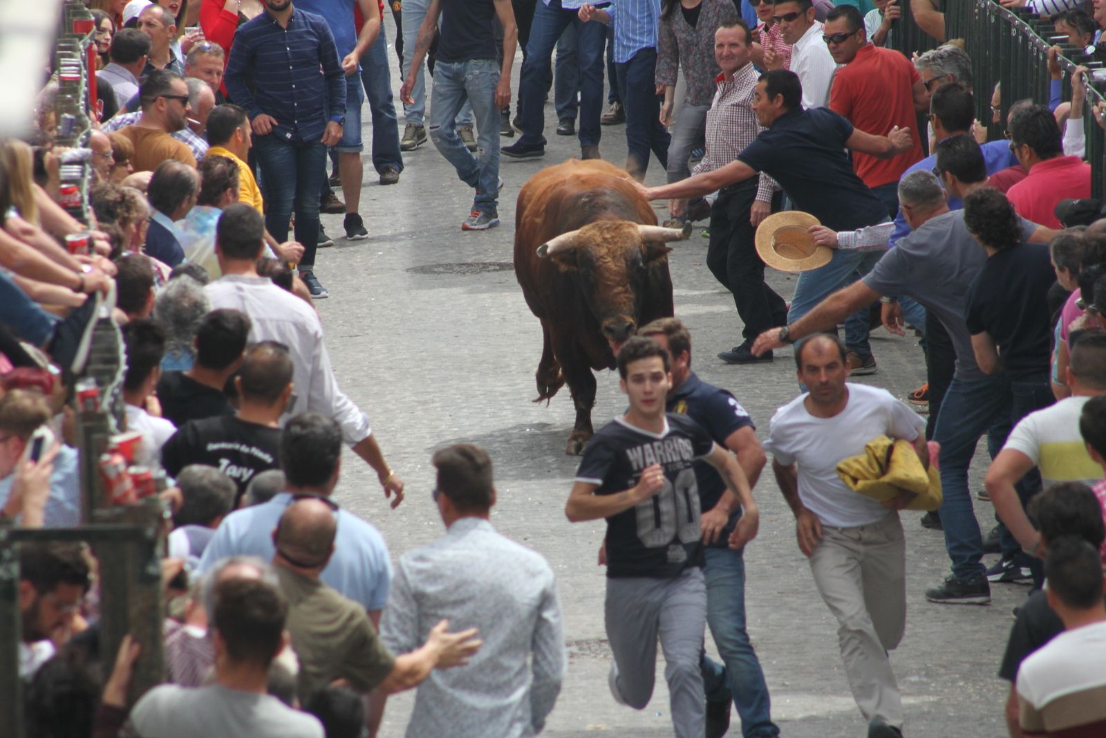 Toro Embolao en Paterna