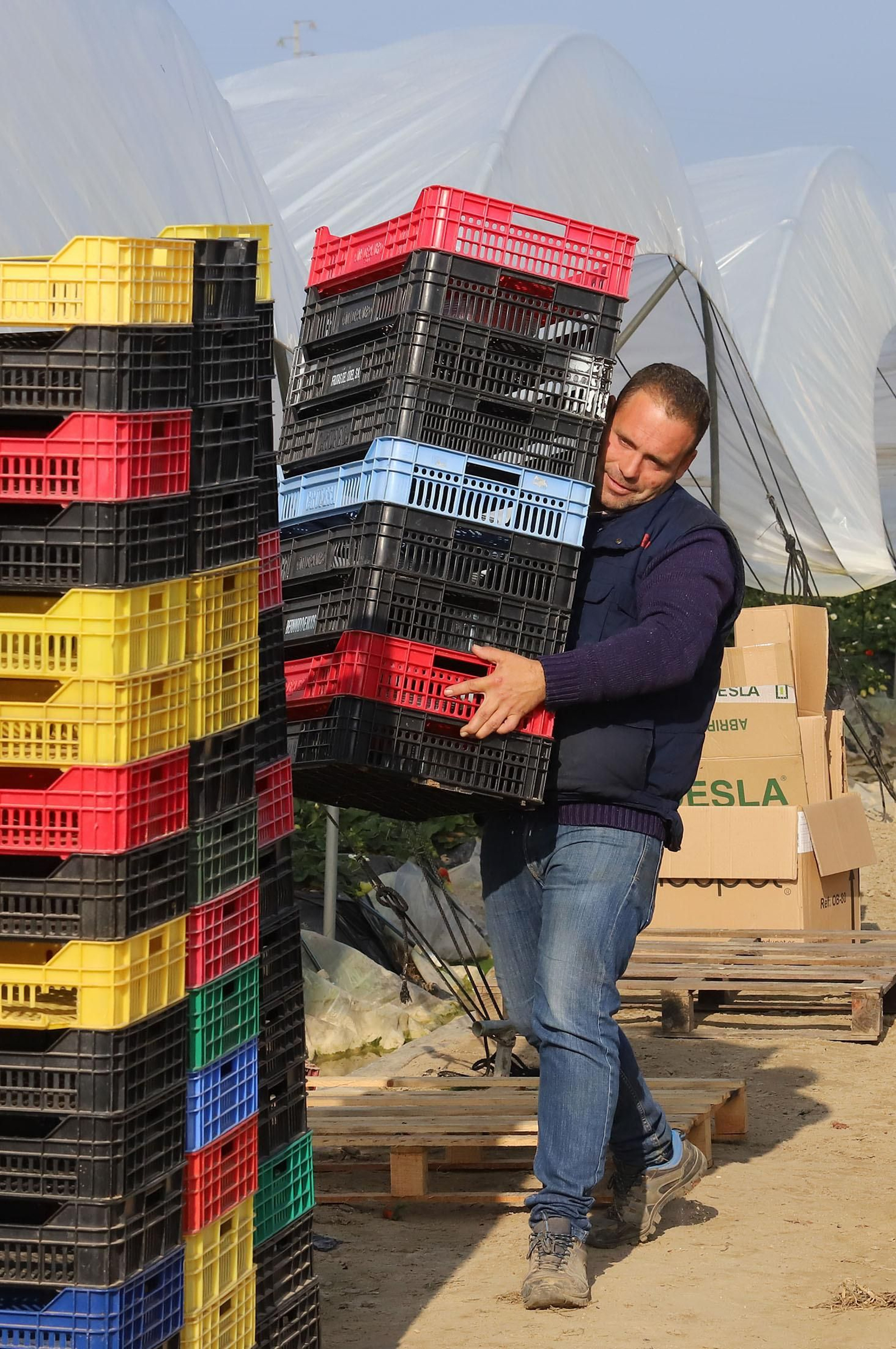 Imágenes de la realidad del trabajo en el campo