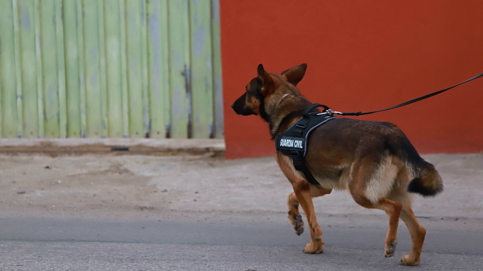 Registros de la Guardia Civil en La Línea y San Roque