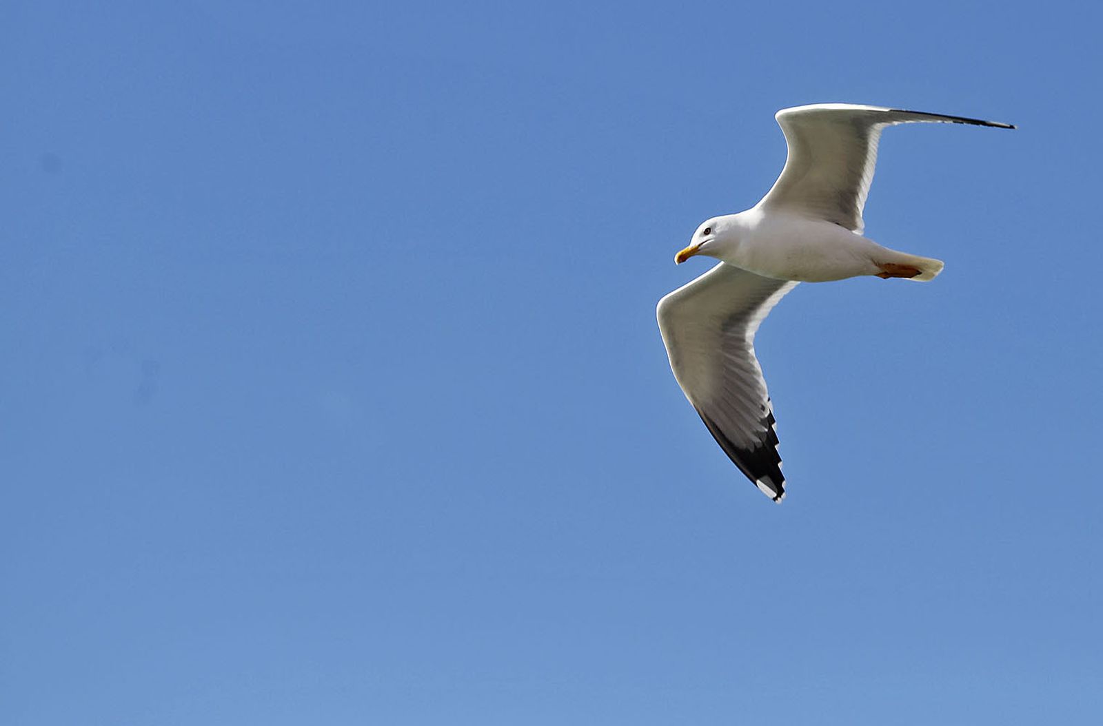 Las imágenes más destacadas del domingo 3 de diciembre en Huelva