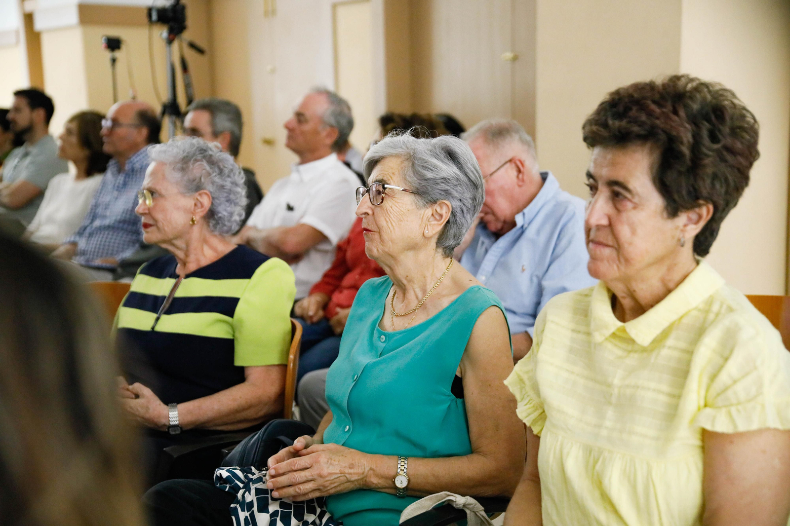 Imágenes de la entrega de los Escudos de Oro del IEA y la celebración de su Plenario