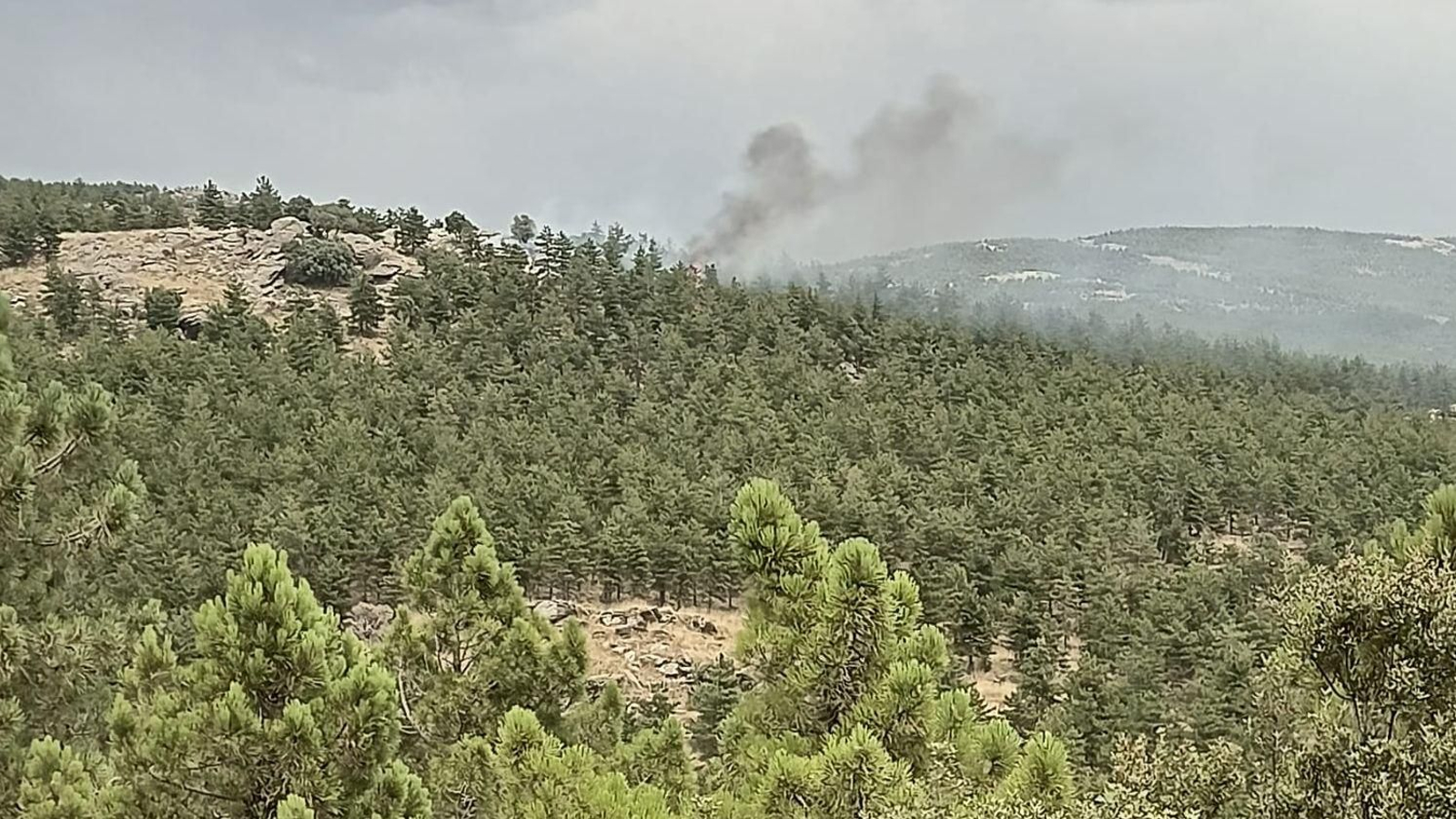 El incendio se ha originado en una zona de pinar.