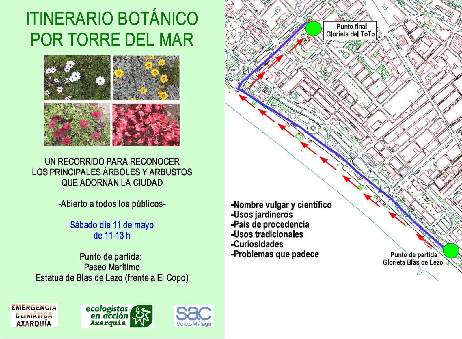 Itinerario botánico de Torre del Mar