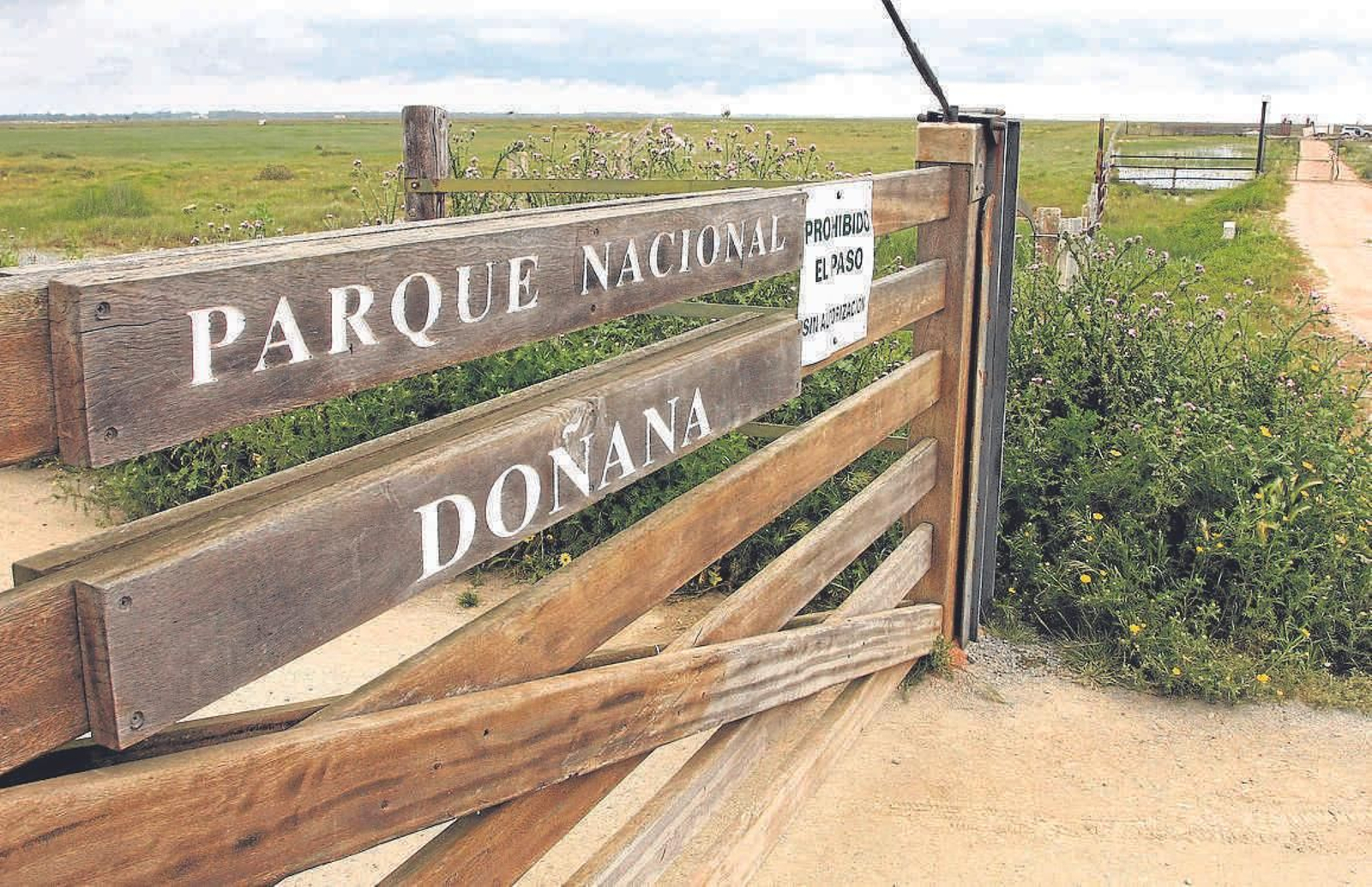 NI UN MINUTO DE RESPIRO La conciencia colectiva sobre su preservación, así como la implicación de las instituciones internacionales dedicadas a preservar y defender su protección parecen garantizar un futuro tranquilizador. No obstante, las amenazas han estado, prácticamente desde su inicio, acechando todas y cada una de sus hectáreas. Las catástrofes naturales y, especialmente, provocadas por la negligencia humana, tampoco le han permitido un minuto de respiro.