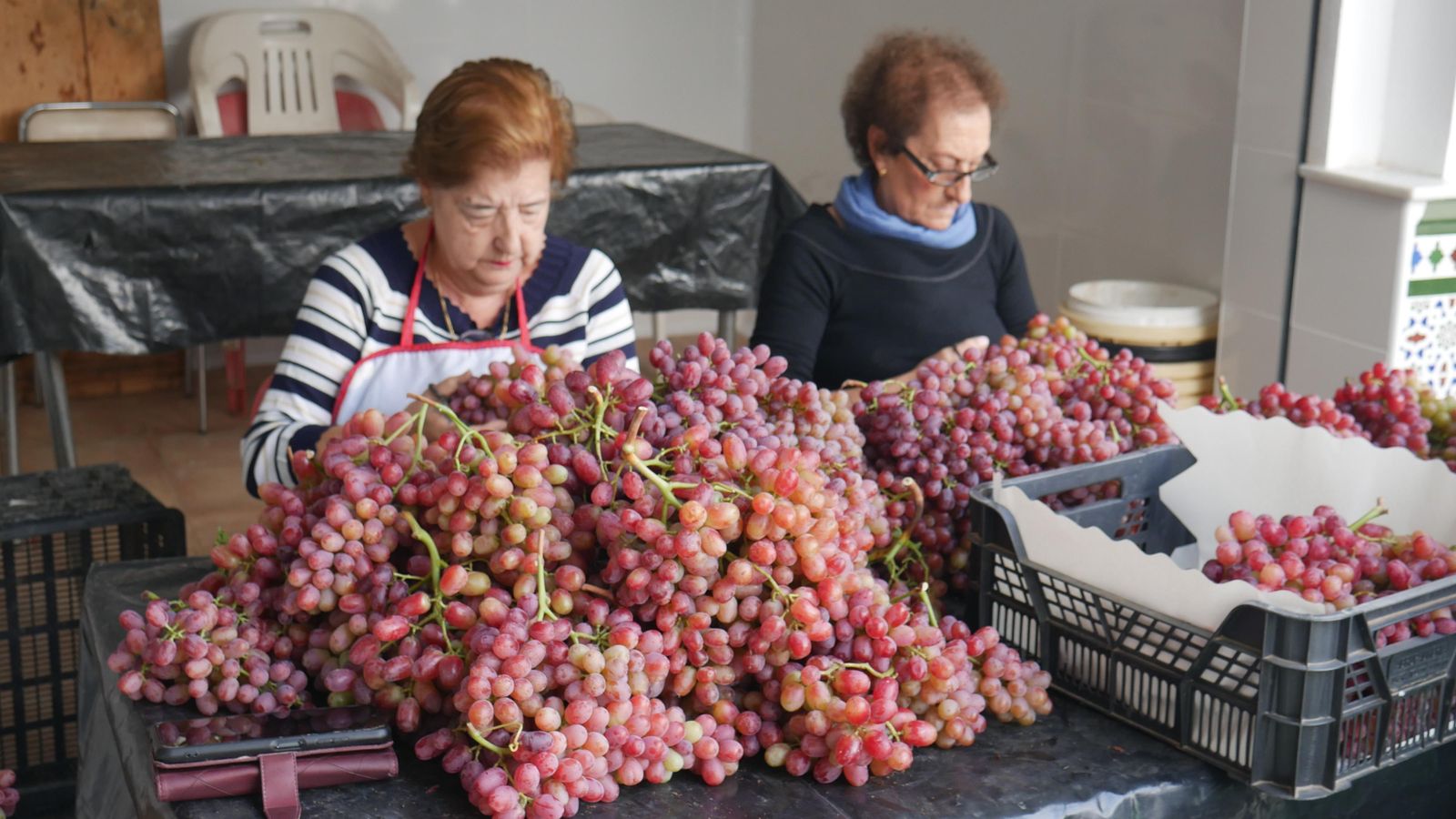 Vecinas y amigas durante la faena de la uva