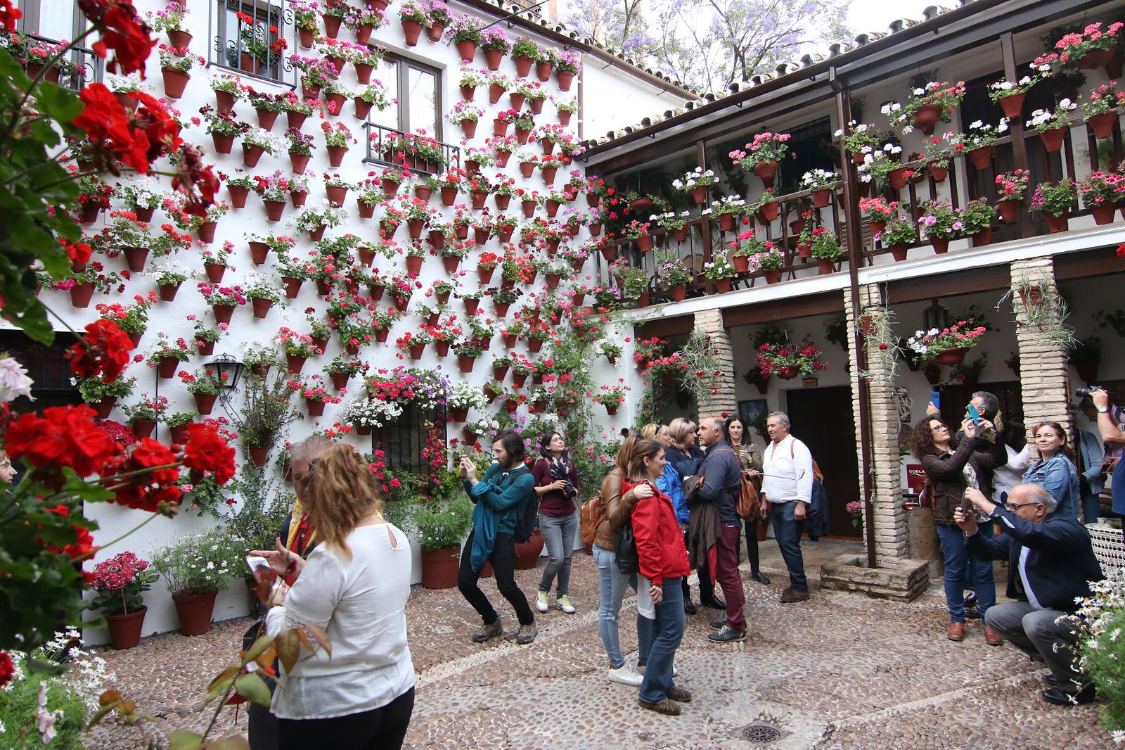 Los patios ganadores en el concurso de los Patios de Córdoba 2017