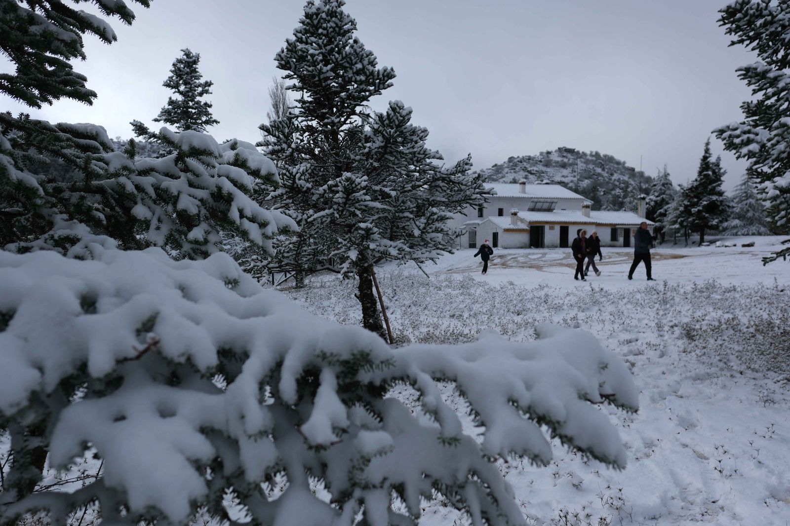 La nieve tiñe de blanco la Serranía de Ronda
