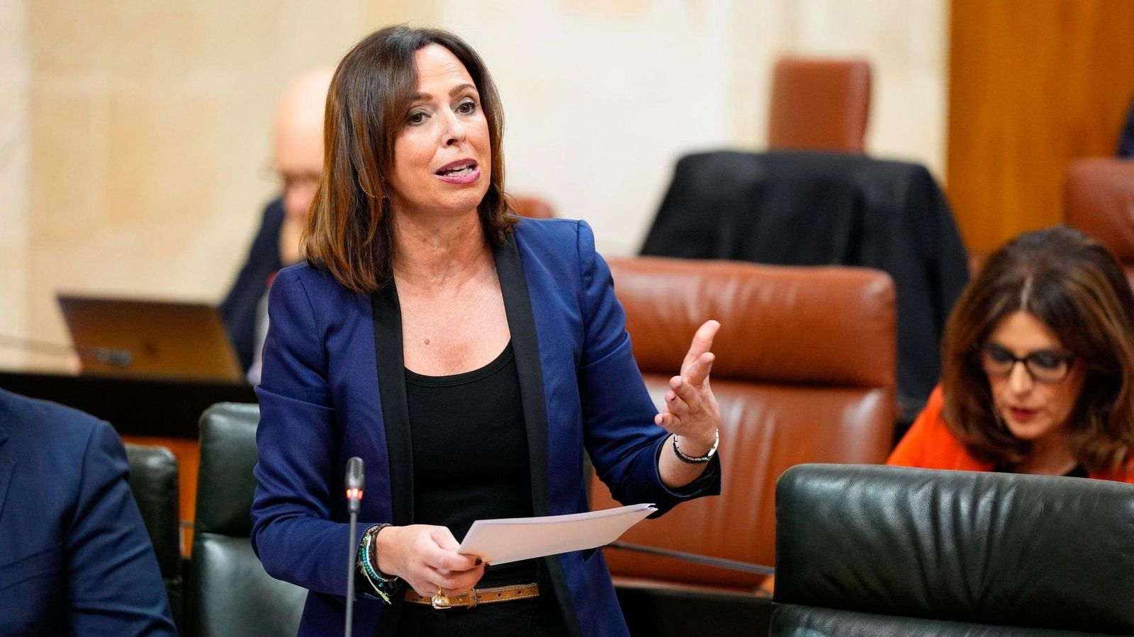 La consejera de Fomento, Articulación del Territorio y Vivienda, Rocío  Díaz | Imagen de archivo