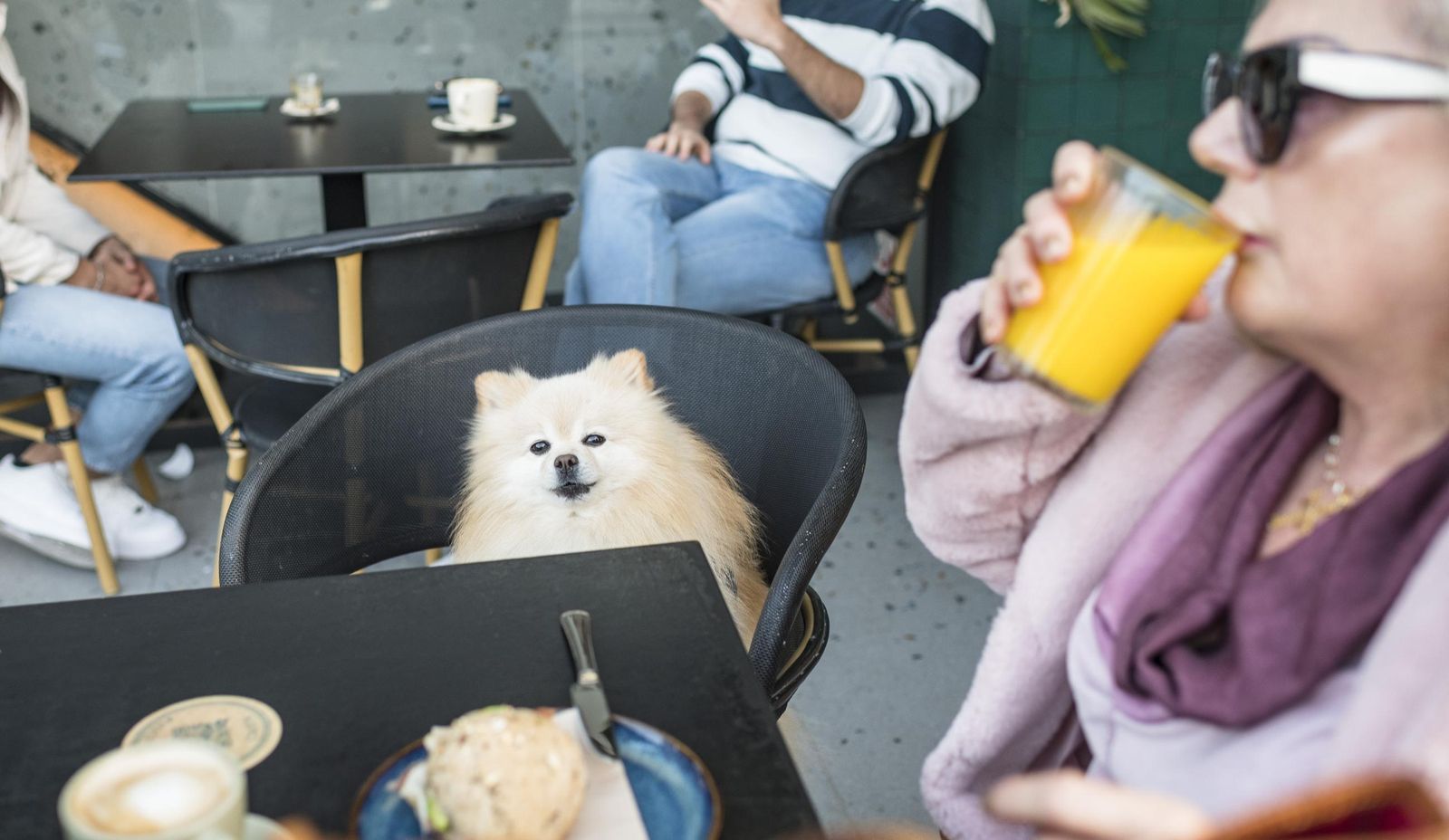 Una mujer desayunando junto a su mascota en Narigoni El Puerto