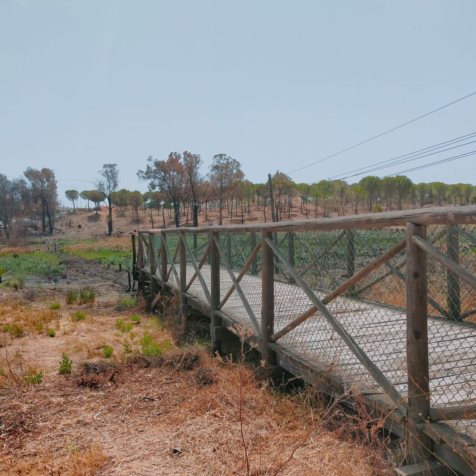 La pasarela resultó parcialmente destruida a causa de un incendio.