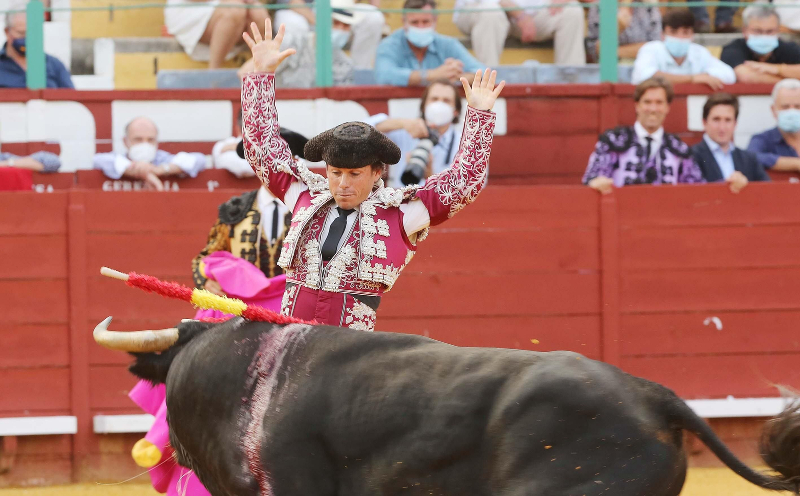 Imágenes de la vuelta de los toros a Jerez Imágenes de la vuelta de los toros a Jerez