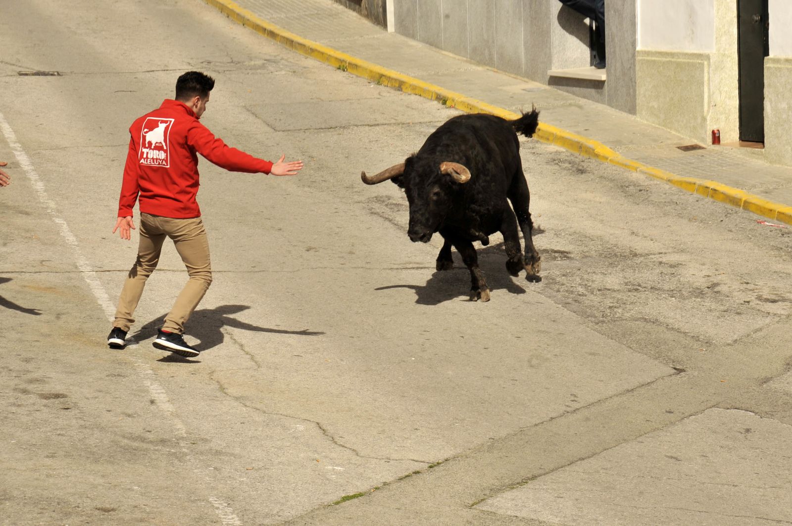 Imágenes del Toro del Aleluya en Arcos