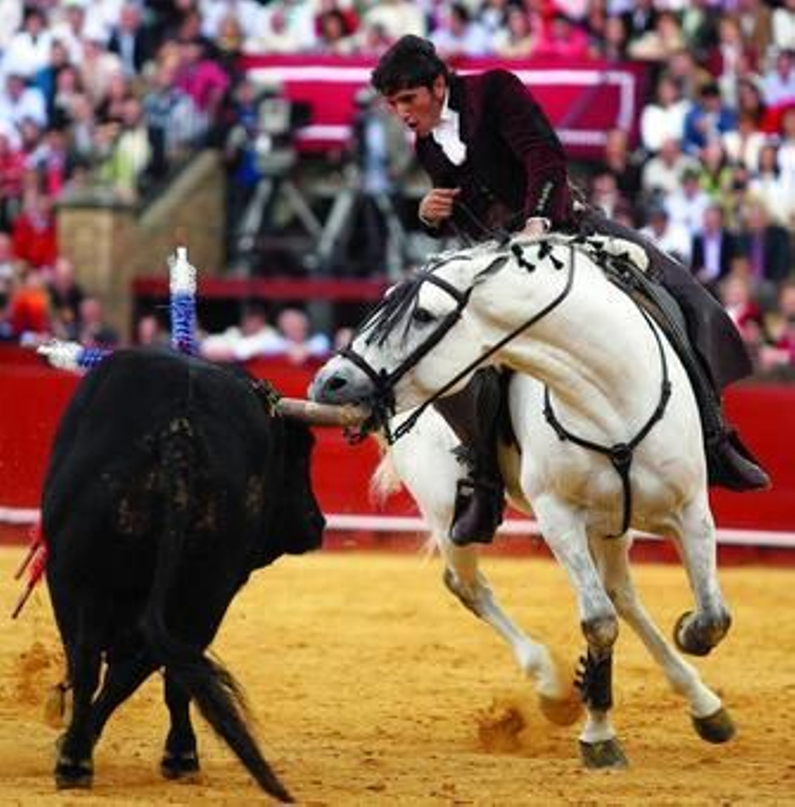 Momento en el que el caballo 'Morante', una de las estrellas del rejoneador Diego Ventura, muerde el pitón derecho a su oponente.