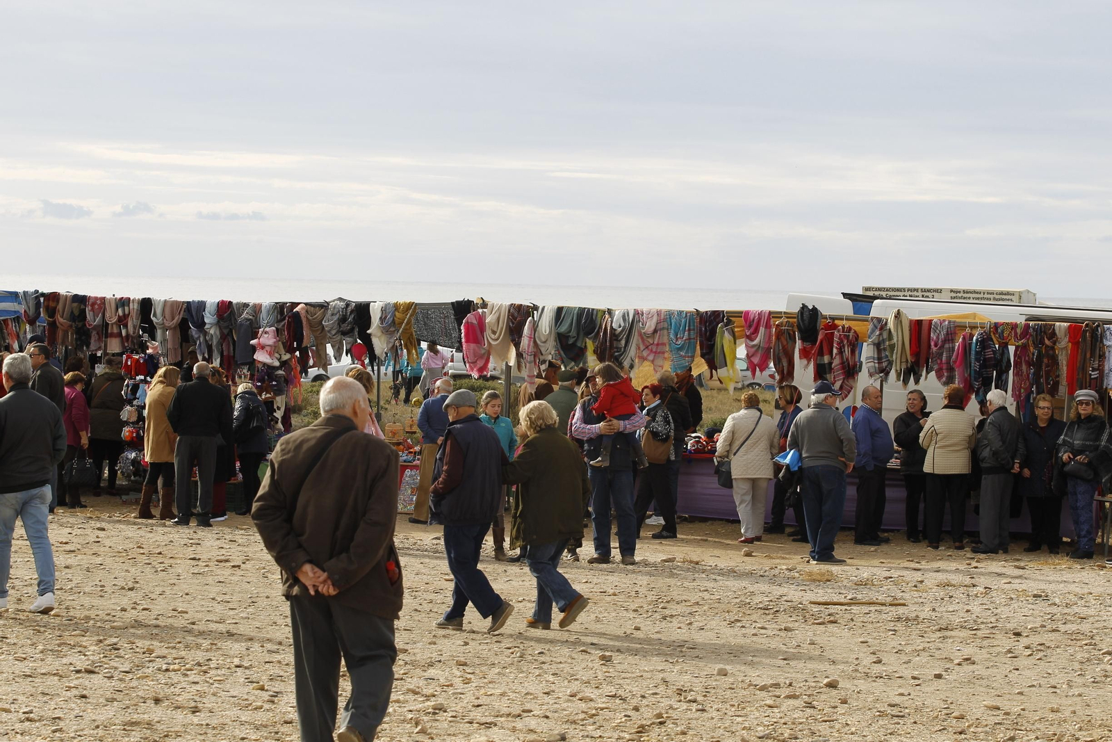 Las imágenes de la Romería de Torregarcía