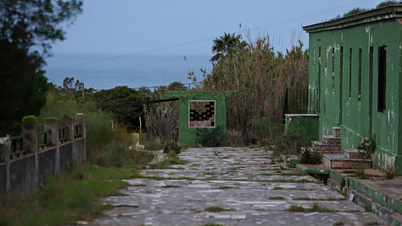 Las mejores fotos de Paloma Baja