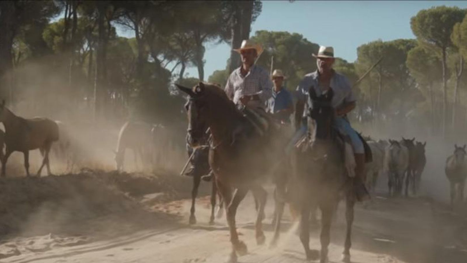 Fotograma de The Passion of Andalucía.