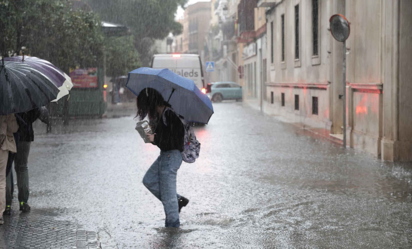 El centro de Sevilla anegado, todas las fotos.