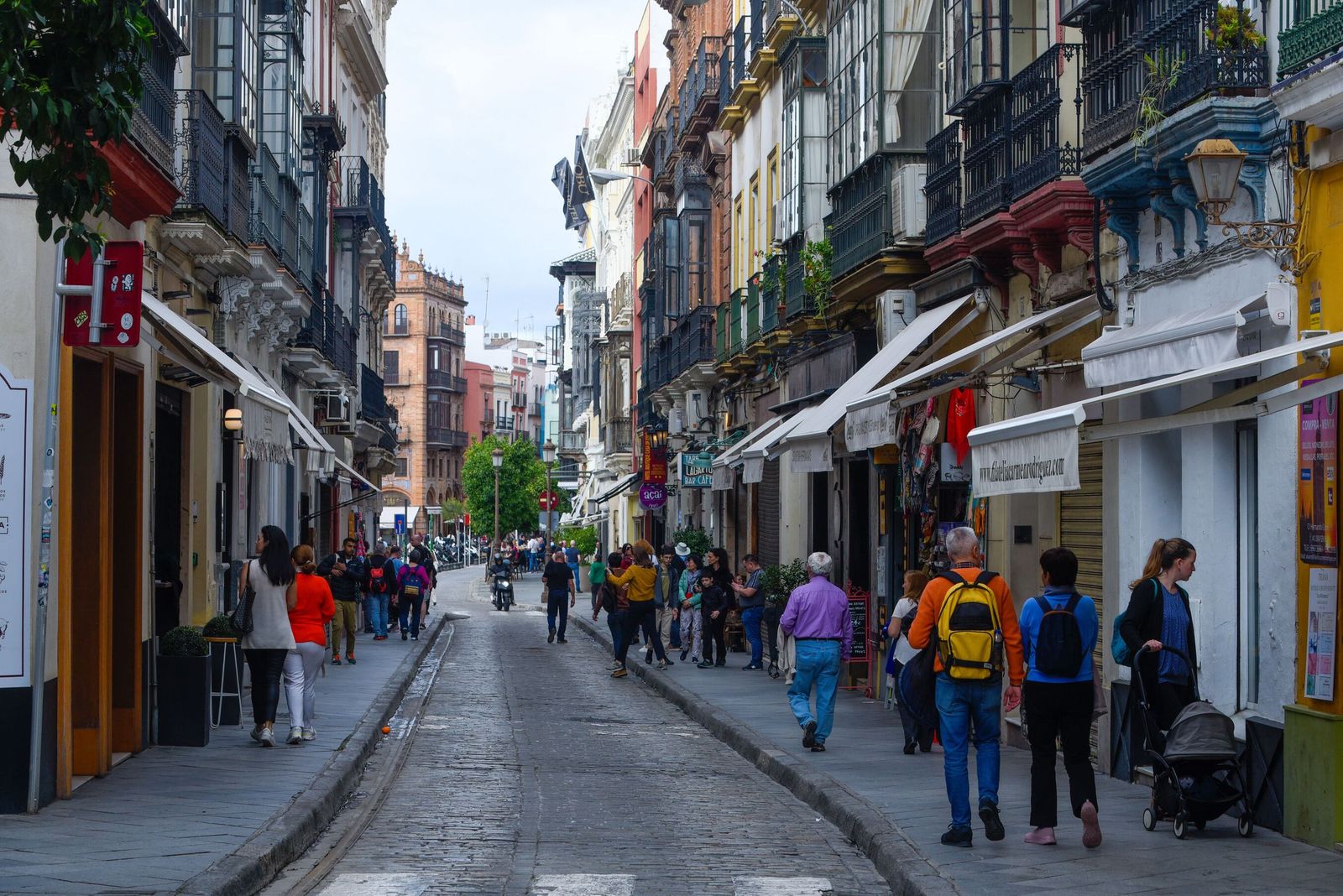 Calle Hernando Colón, una de las zonas ubicadas junto a la Catedral de Sevilla