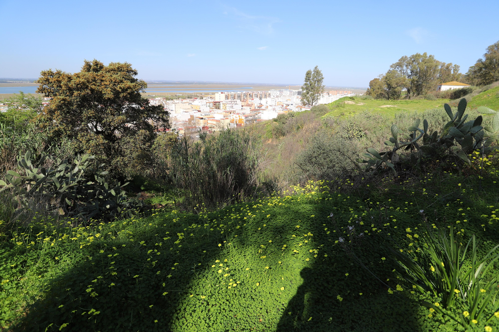 Imágenes del mirador del Conquero, de los cabezos y Fuentevieja