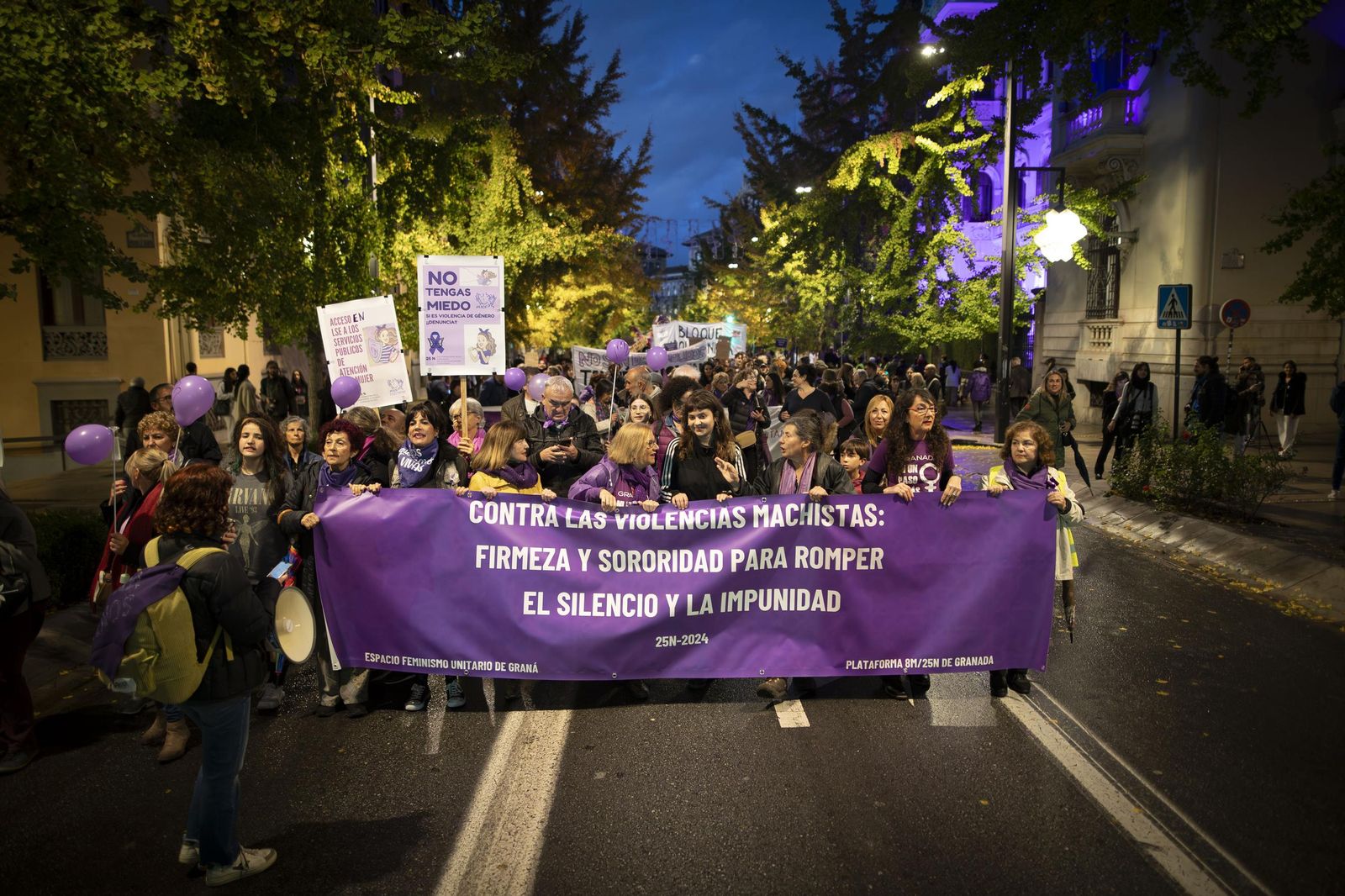 Todas las imágenes de la movilización de Granada contra la violencia machista este 25N
