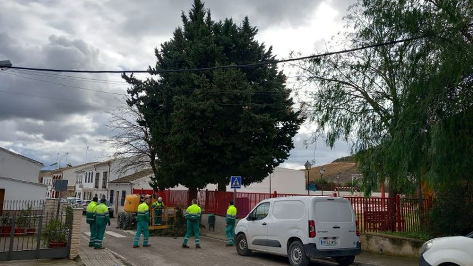 Operarios de Egemasa trabajan sobre un árbol en la aldea de Sotogordo.