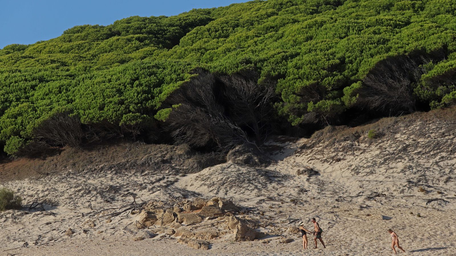 Fotos de la playa de Bolonia