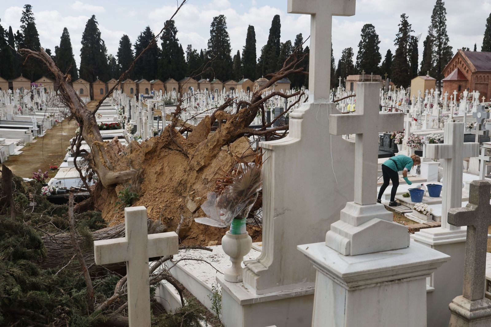 Destrozos provocados en las lápidas del cementerio por la caída de árboles