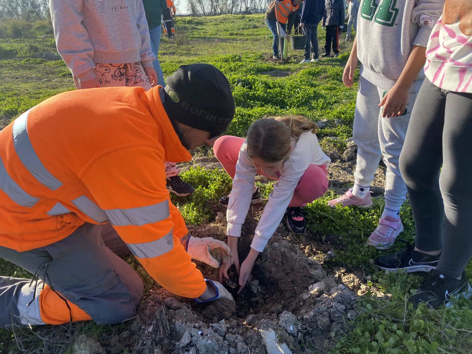 Este lunes comienza la reforestación tras  el fuego en el Coto de la Isleta.