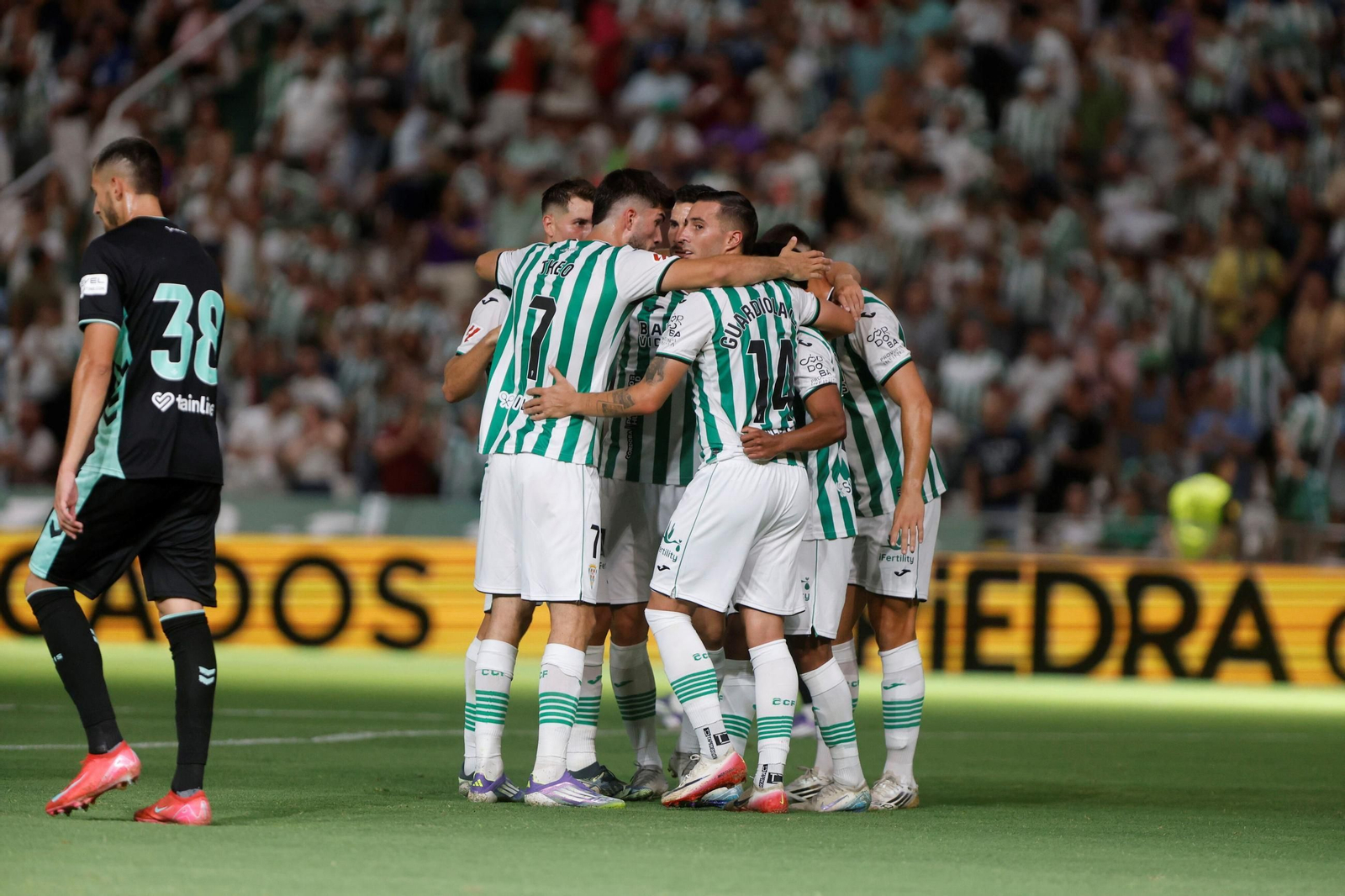 Las fotos del Córdoba - Betis
