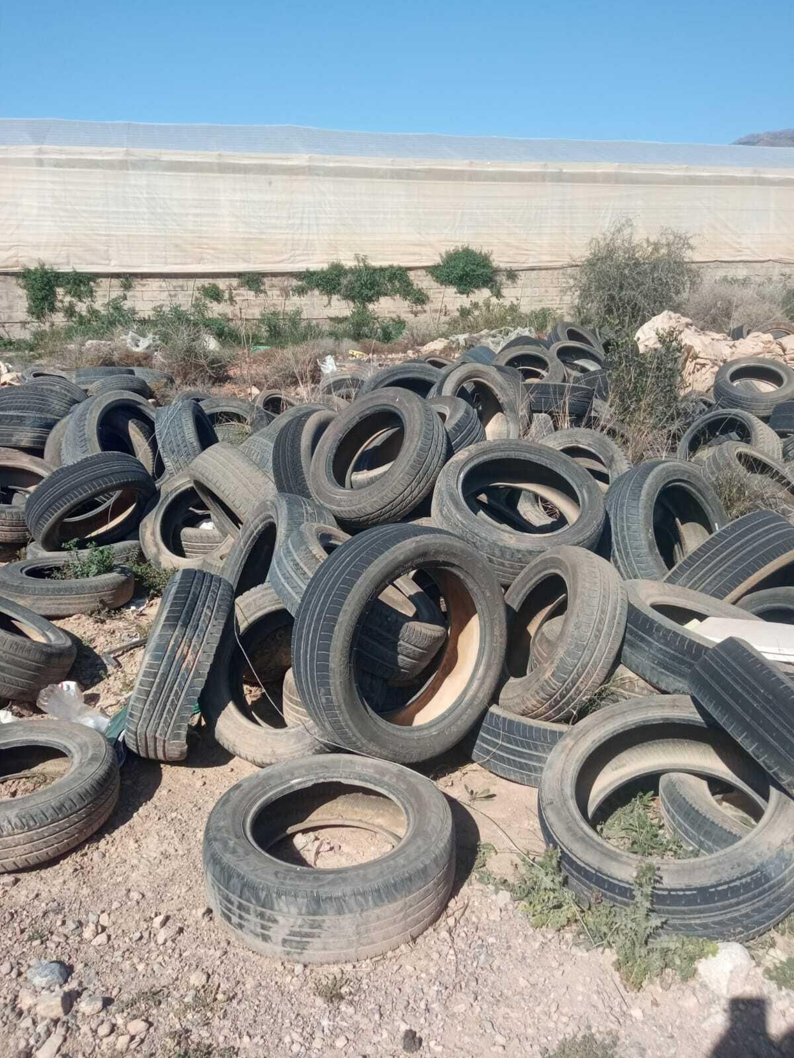 Neumáticos apilados en el terreno del perjudicado.