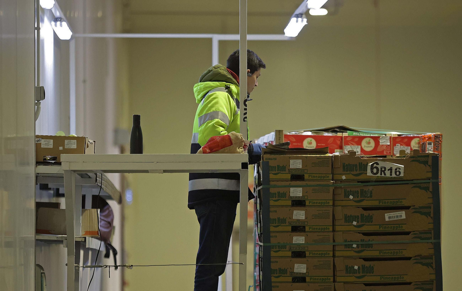 Fotos de la visita a la empresa Americold en el Puerto de Algeciras