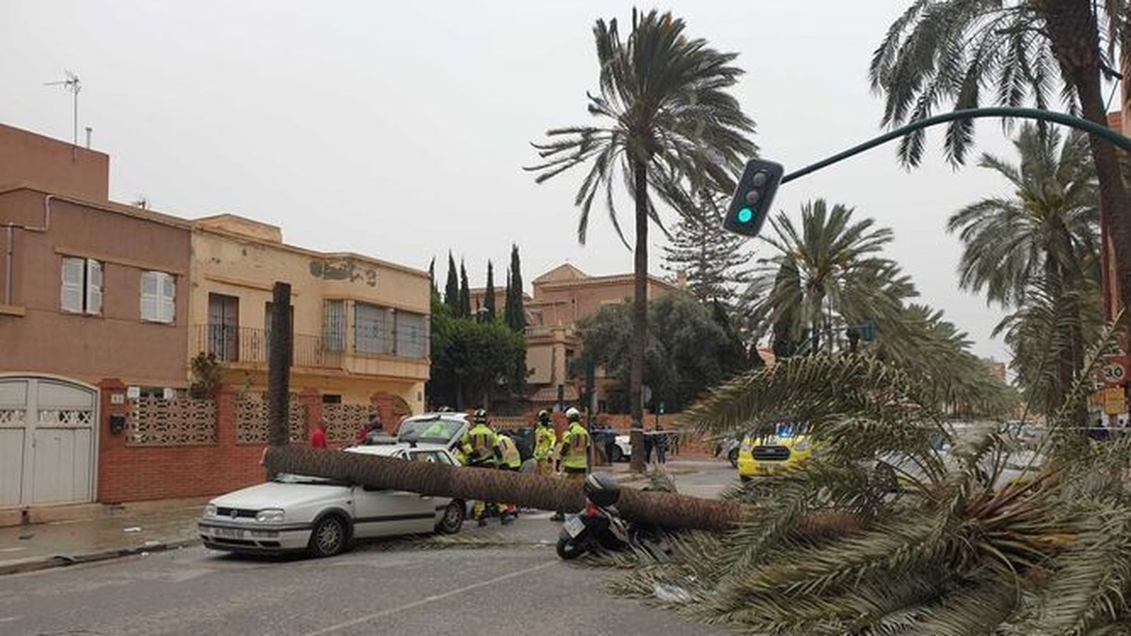 La caída de la palmera se saldó con dos fallecidos.