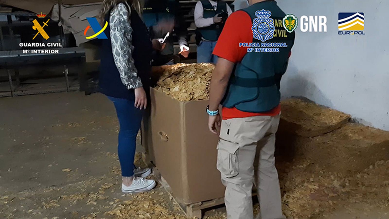 Imagen del tabaco ilegal intervenido en la operación