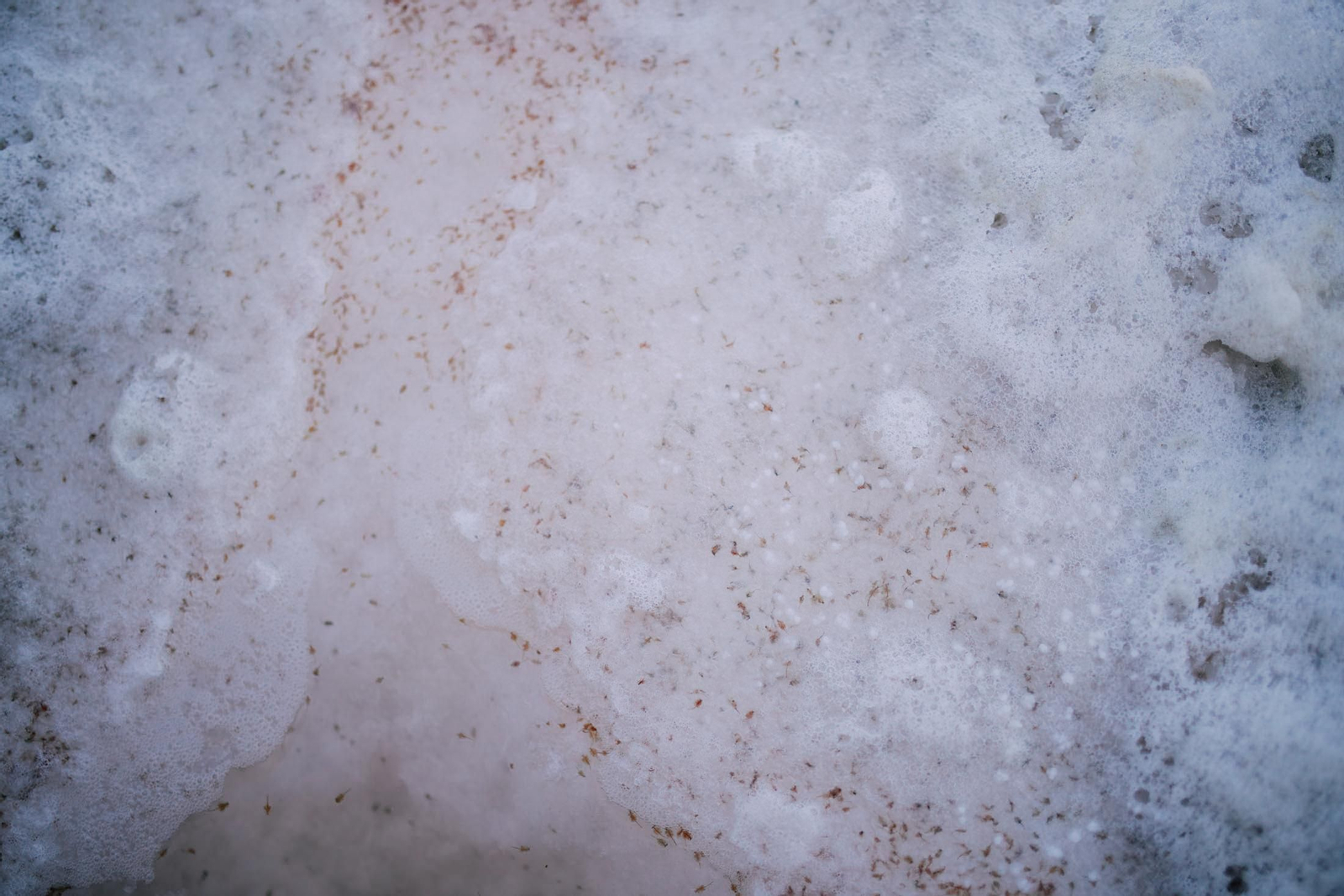 Un recorrido fotográfico por el Paraje Natural Marismas del Odiel