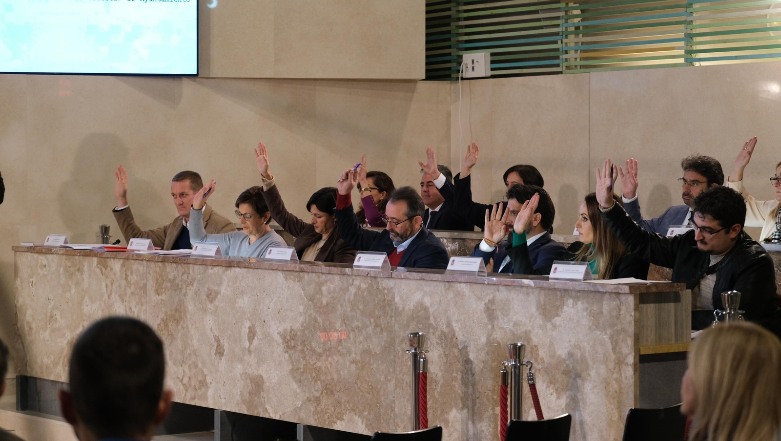 Imágenes del Pleno del Ayuntamiento de Almería