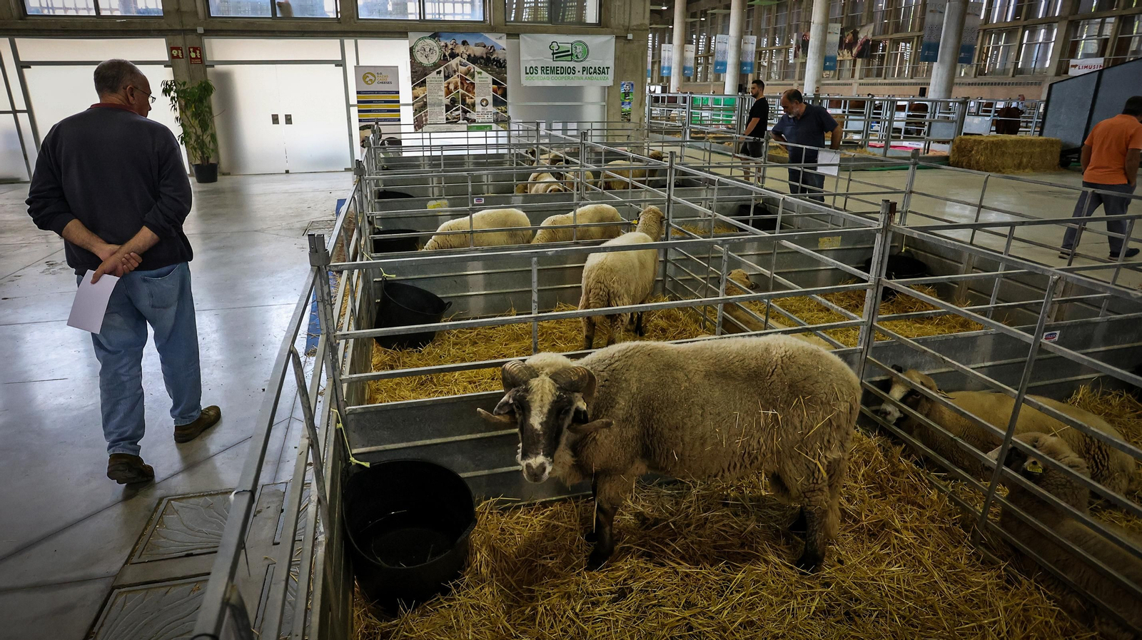 Comienza la feria de la ganadería y la agricultura en IFECA