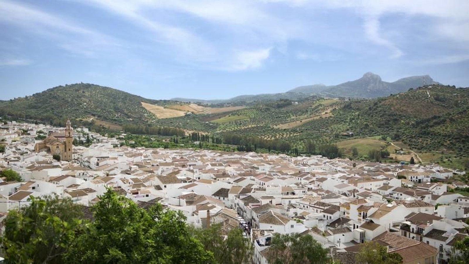 Algodonales. 5437 habitantes