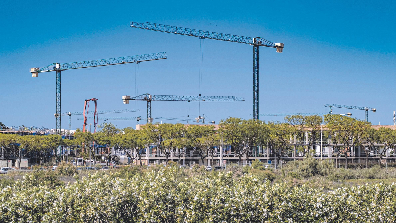 Imagen del año pasado de varias grúas en Chipiona. municipio que ha superado por primera vez la barrera de los 20.000 habitantes.