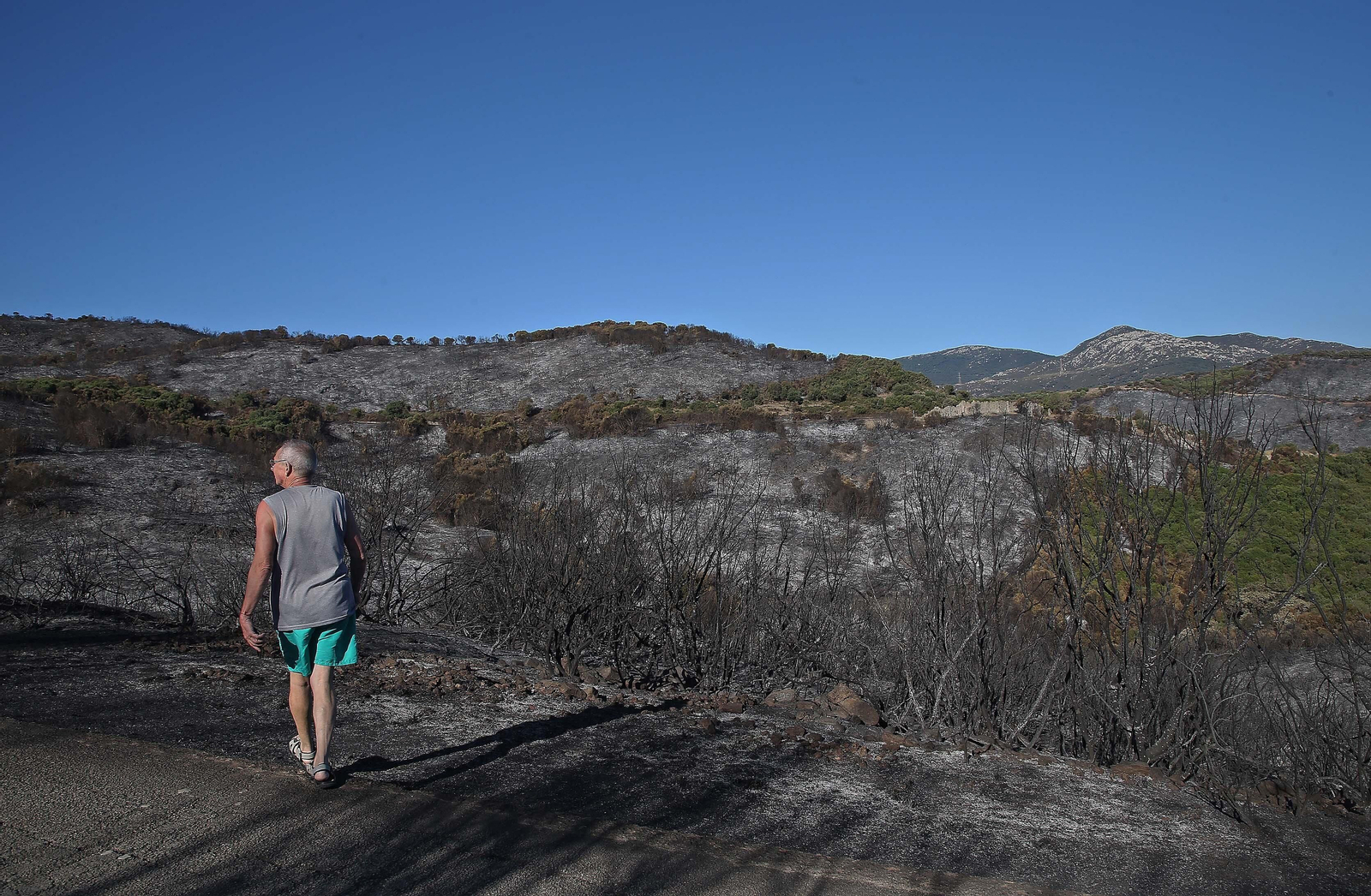 El impacto del incendio forestal de Algeciras, en imágenes