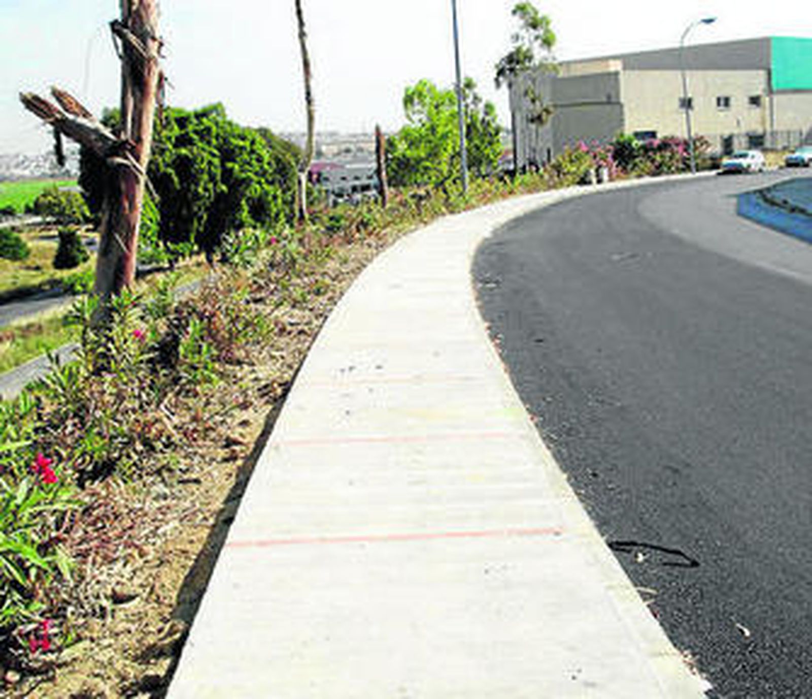 Vista de la zona donde se han desarrollado los trabajos.