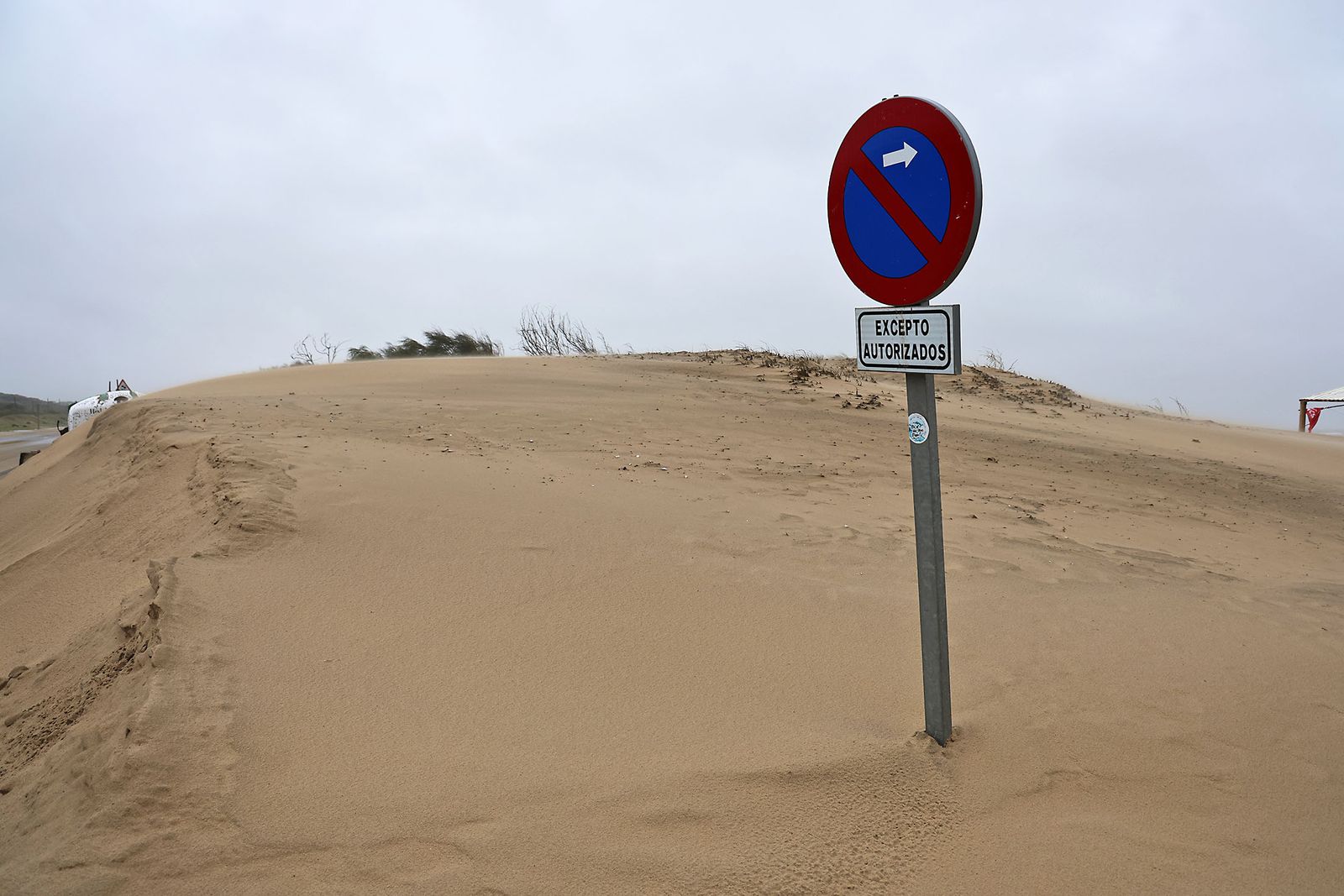 Las Fotografías de los daños ocasionados por la borrasca Leonardo en la playa de La Bota