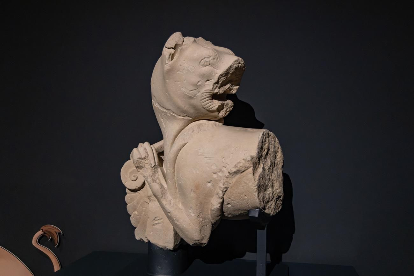 Presentación de la Exposición Seres de Ultratumba