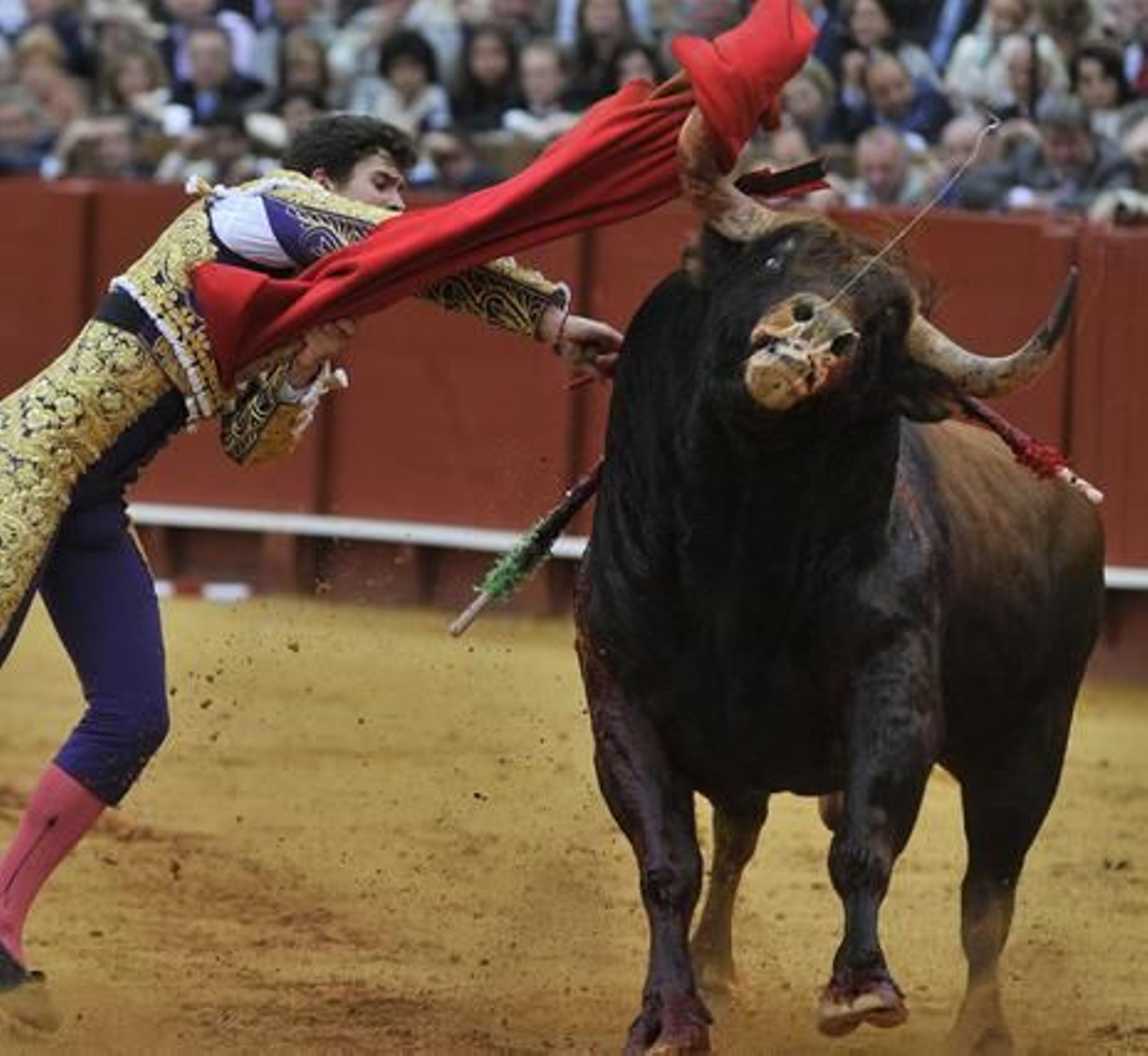 El tercero fue para Daniel Luque.

Foto: Juan Carlos Muñoz