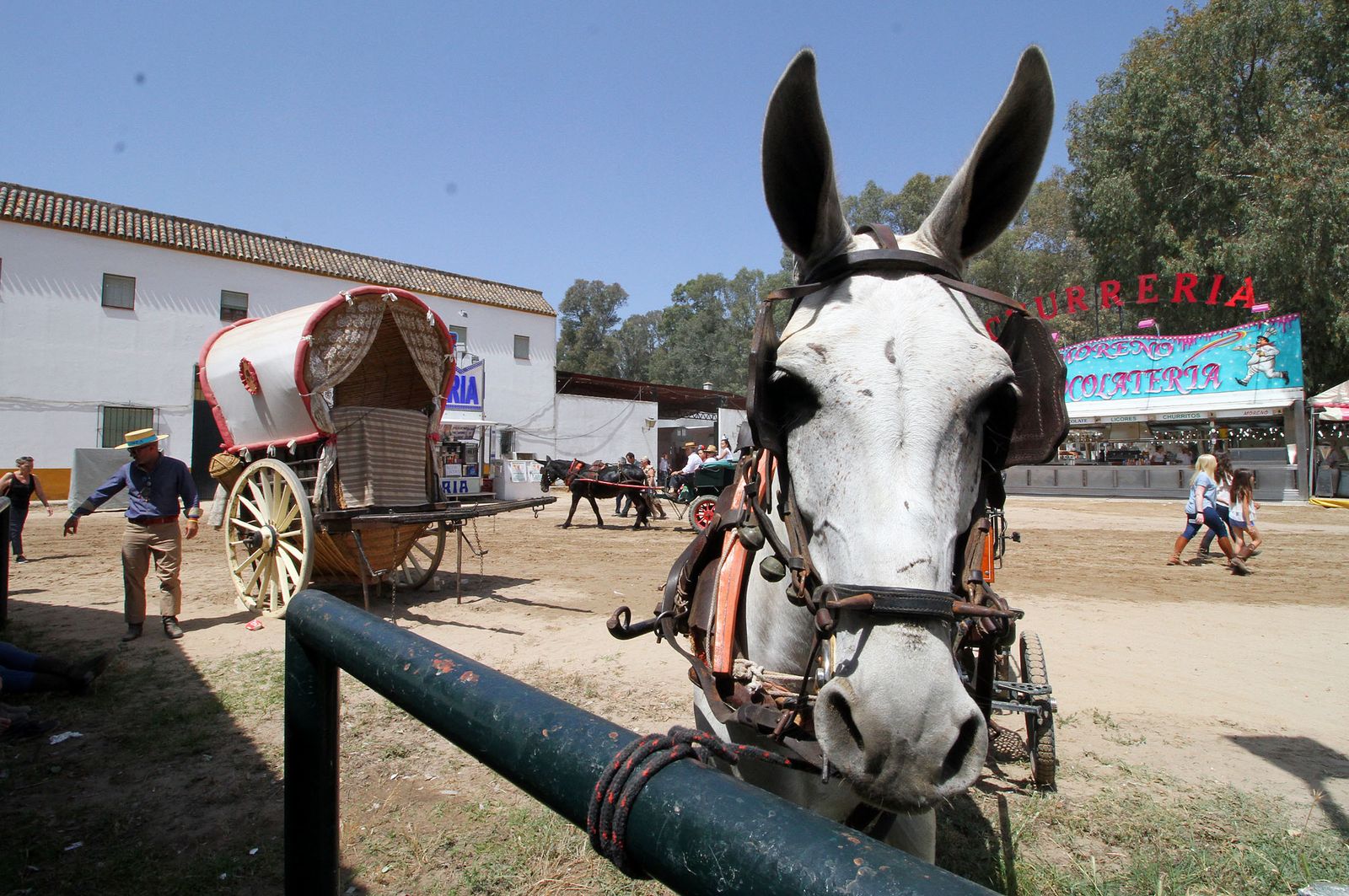 Ambiente en la aldea del Rocío.