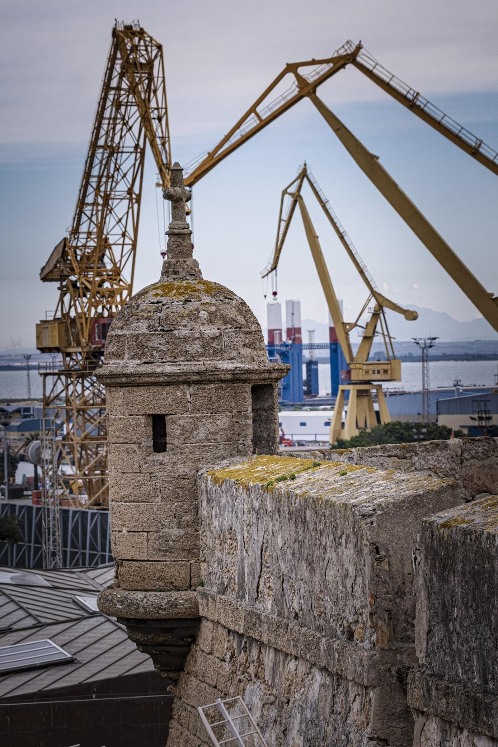 Las imágenes de la reapertura del paseo superior de las Puertas de Tierra