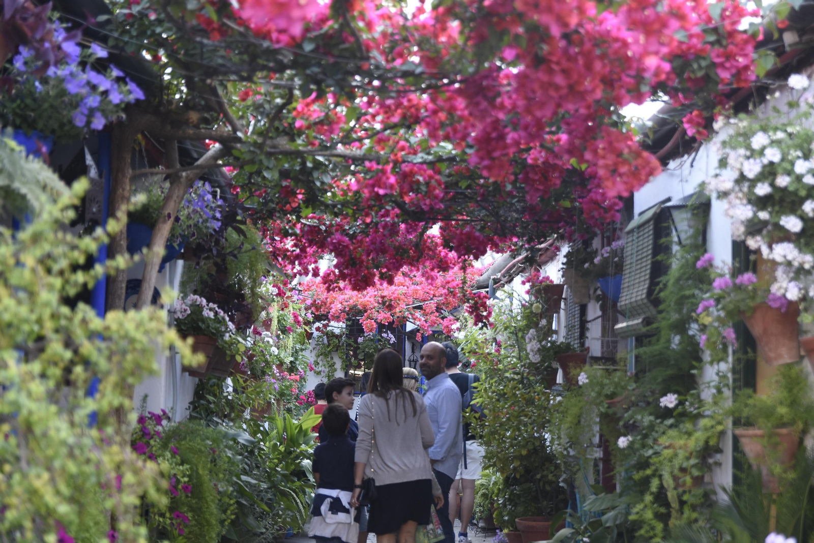 Patio de Marroquíes, 6