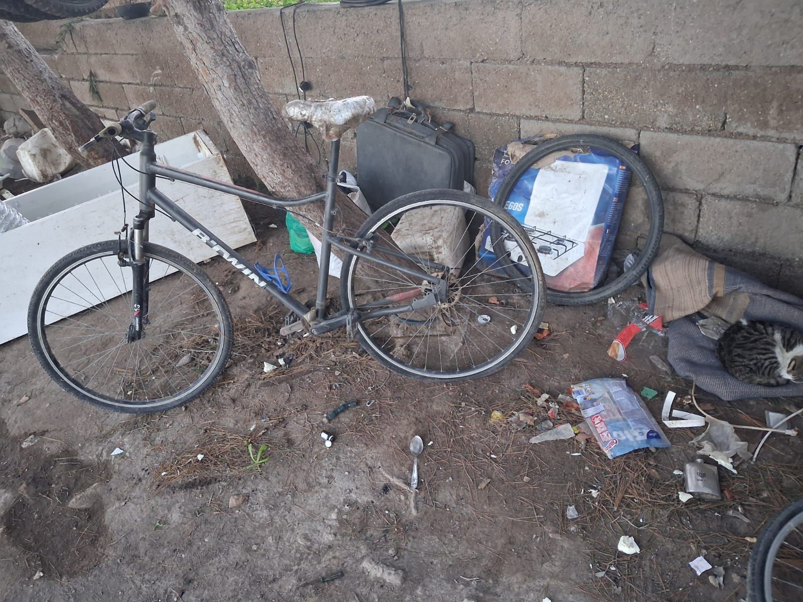 WhatsApp Image 2026-02-12 at 18.59.09 (3)